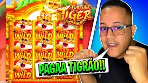 jogar fortune tiger demo para mobile